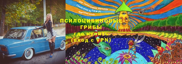 шишки Алексин