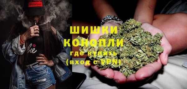 шишки Алексин
