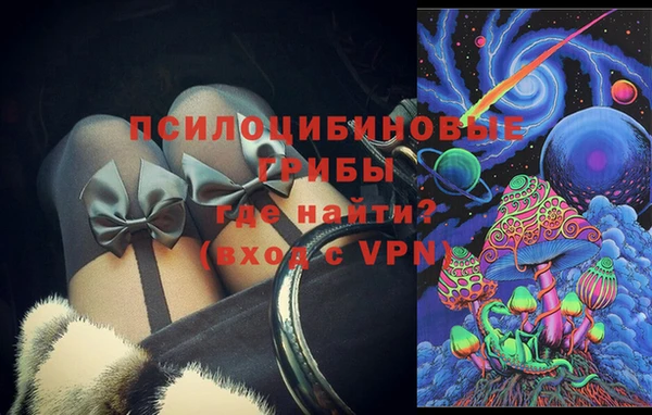шишки Алексин