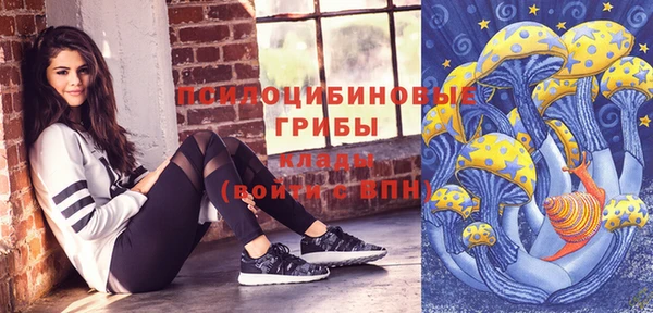 spice Алексеевка
