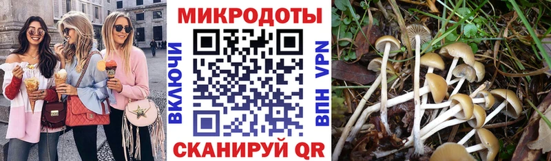 как найти наркотики  Андреаполь  Галлюциногенные грибы Magic Shrooms 